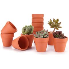 Plant pots